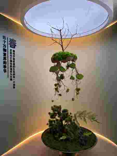 菲尼艺术涂料